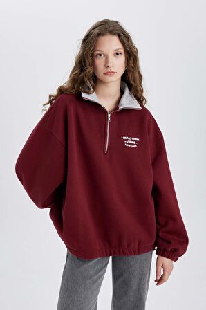 DeFacto Oversize Geniş Kalıp Yarım Fermuarlı Nakışlı Kalın Sweatshirt C4581AX24SMBR248