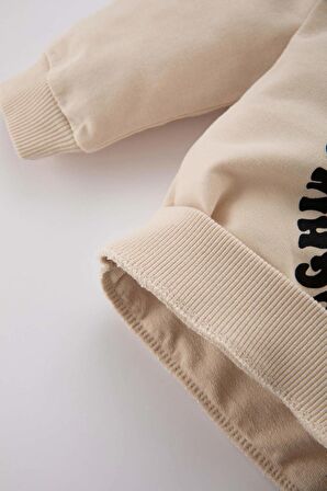 DeFacto Erkek Bebek Bisiklet Yaka Kaplan Baskılı Sweatshirt C0635A524SPER42