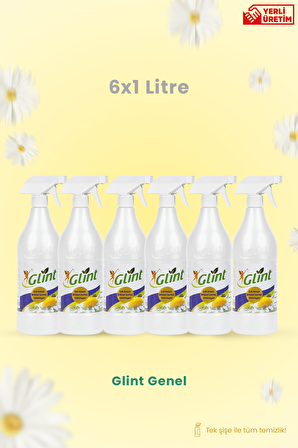 Glint 6 X 1 Lt . Çok Amaçlı Temizleyici Leke Çıkarıcı