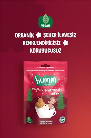 Humm Organic Organik Zencefilli Tarçınlı Vegan Kurabiye 55g X 6 Adet