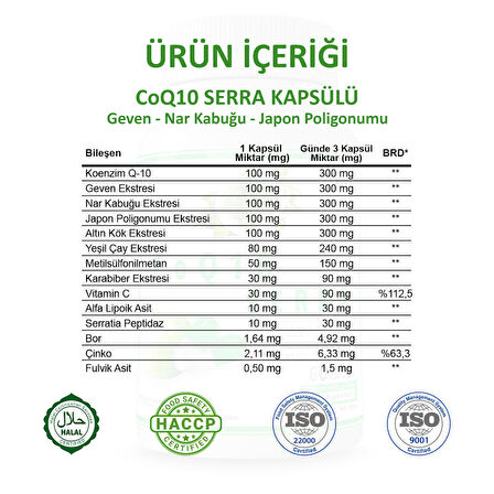 Coq 10 Kapsül (CO-ENZYME Q10 CAPSULE)