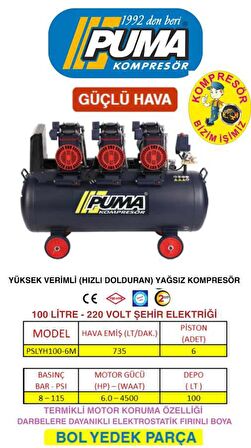100 LT YÜKSEK VERİMLİ YAĞSIZ KOMPRESÖR (6 HP)
