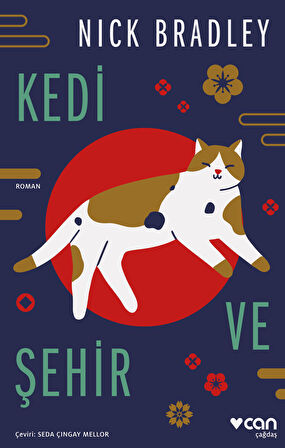 Kedi ve Şehir