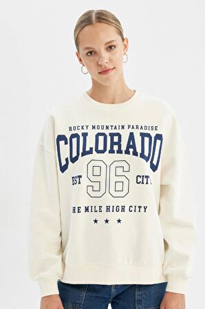 DeFacto Loose Fit Bisiklet Yaka Baskılı Kalın Sweatshirt C7811AX24WNWT32