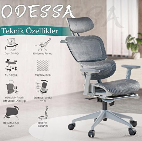 Odessa Fonksiyonel Çalışma Koltuğu