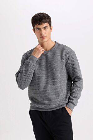 DeFacto Gri Regular Fit Bisiklet Yaka Jakarlı Sweatshirt D5392AX24AUGR371