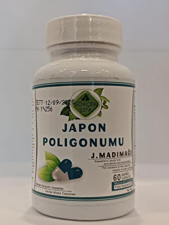 Japon Poligonumu Kapsül (JAPANESE POLYGON CAPSULE)