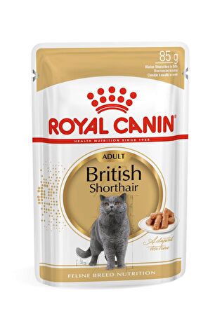 Royal Canin British Shorthair için Yaş Kedi Maması 85g
