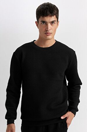 Regular Fit Bisiklet Yaka Jakarlı Sweatshirt
