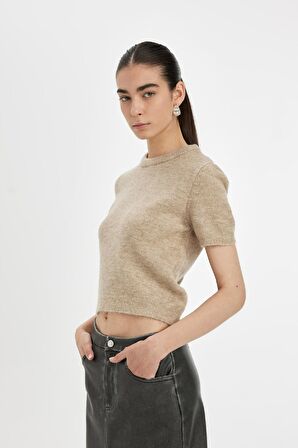 DeFacto Regular Fit Bisiklet Yaka Premium Basic Düz Kısa Kollu Triko Kazak C9049AX24WNBG474