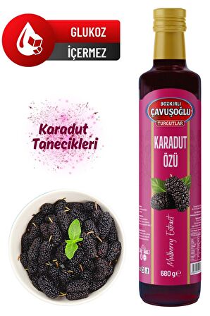 Doğal ve Katkısız Karadut Özü 680g