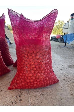 50 x 80 Ceviz Çuvalı 15kg 250'li