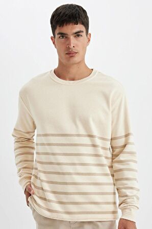 DeFacto Comfort Regular Fit Rahat Kalıp Bisiklet Yaka Çizgili Kalın Sweatshirt D2397AX24AUER42