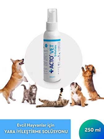 ACTO® VET SOLUTION 250 ML | Evcil Hayvanlar için Yara İyileştirme Solüsyonu