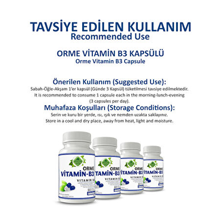 Orme Vitamin B3 Kapsül (VİTAMİN B3 CAPSULE) 60 Adet