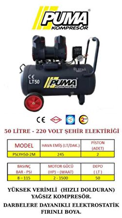 50 LT YÜKSEK VERİMLİ YAĞSIZ KOMPRESÖR