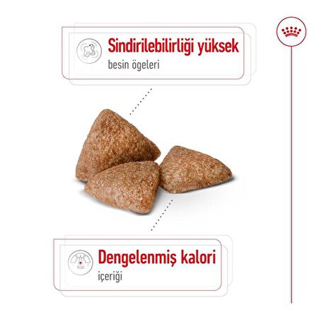 Royal Canin Küçük Irklar için Indoor Yetişkin Kuru Köpek Maması 1.5Kg