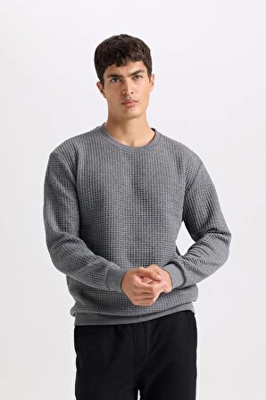 DeFacto Gri Regular Fit Bisiklet Yaka Jakarlı Sweatshirt D5392AX24AUGR371