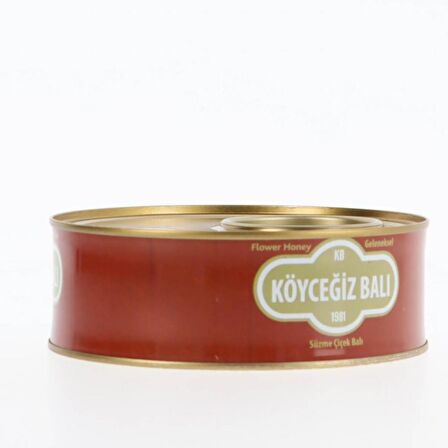 Köyceğiz Balı Çiçek Balı 850 G Teneke