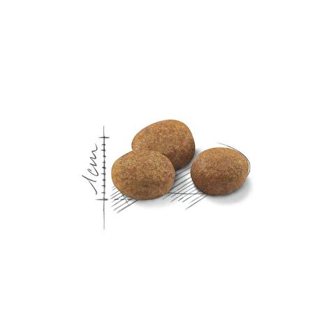 Royal Canin Sterilised Kısırlaştırılmış 7 Yaş ve Üzeri Kediler için Kuru Kedi Maması 3.5kg