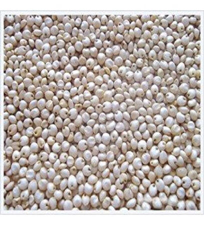 Beyaz Sorgun Sorgum Akdarı Ağdarı Kuş Yemi Kanatlı Yemi 1 Kg