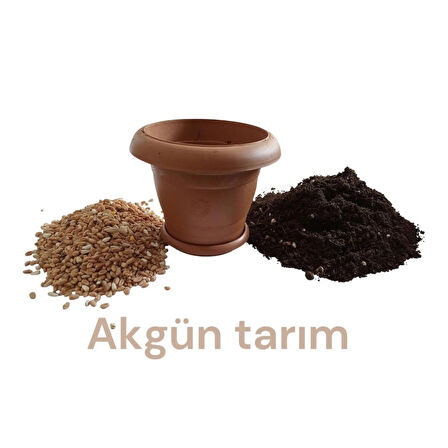 Kedi çimi seti; saksı .buğday arpa karışımı tohum, özel ekim toprağı.