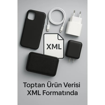 Online Çıktı Hizmeti/xml 1 Yıllık