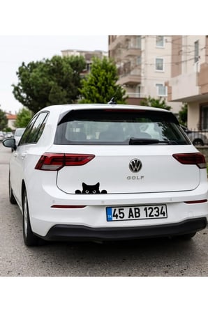 Koç stüdyo Bagajdan Bakan kedi Oto sticker