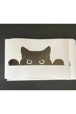 Koç stüdyo Bagajdan Bakan kedi Oto sticker
