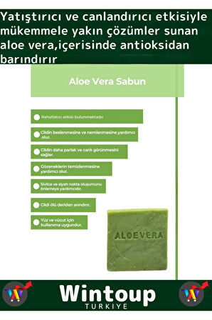 Özel Üretim %100 Organik Tüm Vücut Kullanım Bitkisel Aloe Vera Sabunu 3'lü