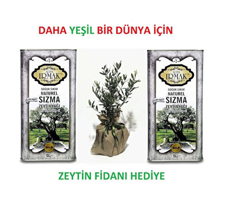 altınırmak GOLD PREMİM GURME filtresiz soğuk sıkım naturel sızma zeytinyağı 5lt+5lt= 10lt altın ırmak zeytinyağları ailesinden Daha YEŞİL bir DÜNYA için zeytin fidanı hediye 