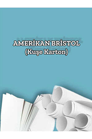 Amerikan Bristol Karton A4 210 gr - 100 Adet