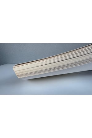 Amerikan Bristol Karton A6 350 gr - 100 Adet 14,8x21 cm