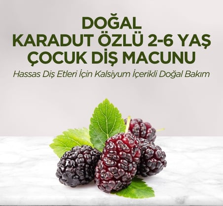 Doğal Karadut Özlü Diş Macunu 2-6 Yaş 60 ml