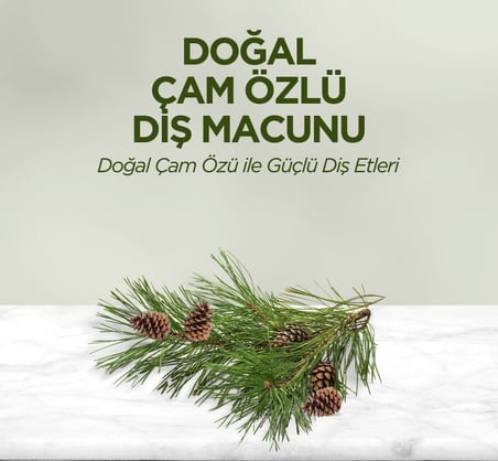 Doğal Diş Macunu 90 Gr Çam Özlü