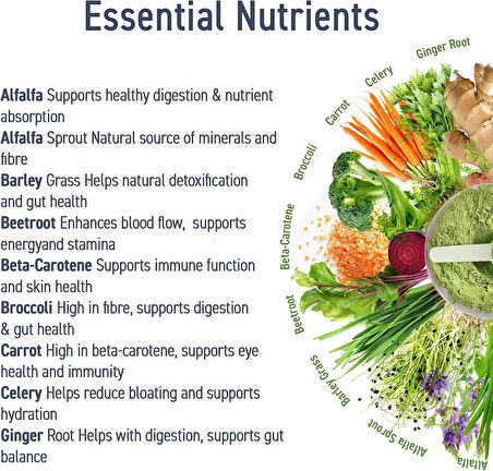 Applied Nutrition Critical Greens Detox Powder Superfood Gut Health Immune Support Vegan 30 Servis