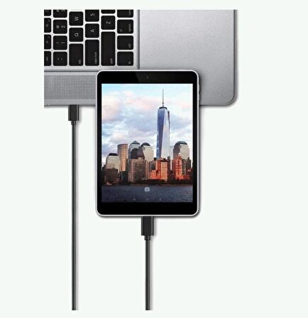 Type-C USB Şarj ve Data Kablosu - 3 Metre Siyah