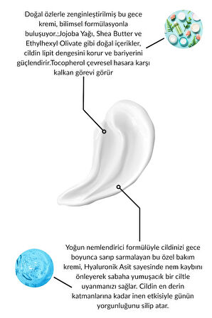 Yaşlanma ve Kırışıklık Karşıtı Bakım Kremi / Gece Kremi / Tüm Cilt Tipleri / Anti-aging