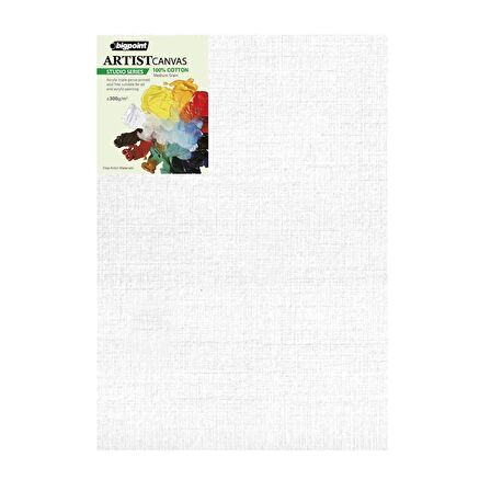 Bigpoint Studio Tuval 35x50cm - 300gram