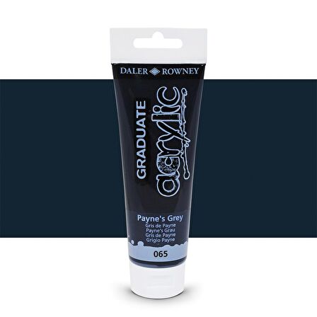 Daler Rowney Graduate Akrilik Boya 120ml 065 Paynes Grey