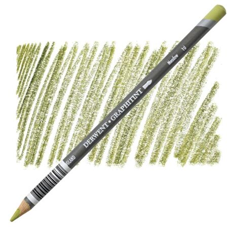 Derwent Graphitint Pencil (Renkli Grafit Kalem) Meadow (10)