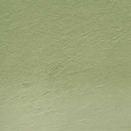 Derwent Tinted Charcoal Pencil (Renkli Kömür Kalemi) Green Moss (Tc15)