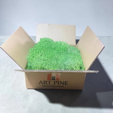 Premium Preserved Şoklanmış Yeşil Renk ReindeerMoss - Likenmoss Terraryum Yosunu 30gr -