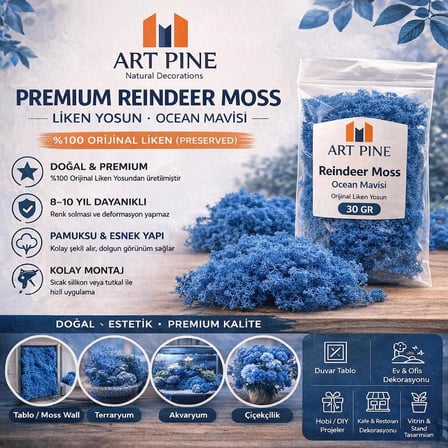 Premium Preserved Şoklanmış Mavi Renk ReindeerMoss - Likenmoss Terraryum Yosunu 1Kg