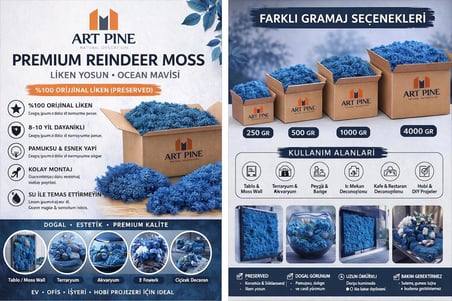 Premium Preserved Şoklanmış Mavi Renk ReindeerMoss - Likenmoss Terraryum Yosunu 4kg
