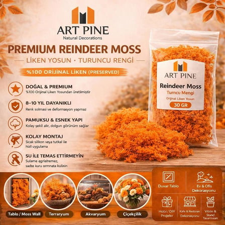 Premium Preserved Şoklanmış Turuncu Renk ReindeerMoss - Likenmoss Terraryum Yosunu 500gr