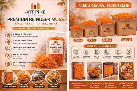 Premium Preserved Şoklanmış Turuncu Renk ReindeerMoss - Likenmoss Terraryum Yosunu 1Kg