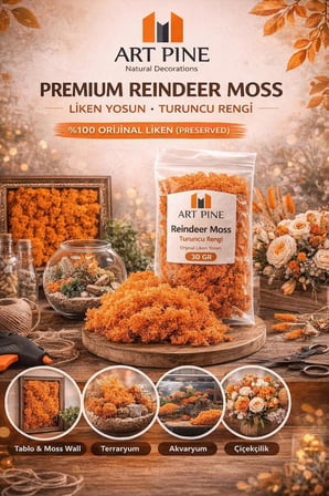 Premium Preserved Şoklanmış Turuncu Renk ReindeerMoss - Likenmoss Terraryum Yosunu 4kg