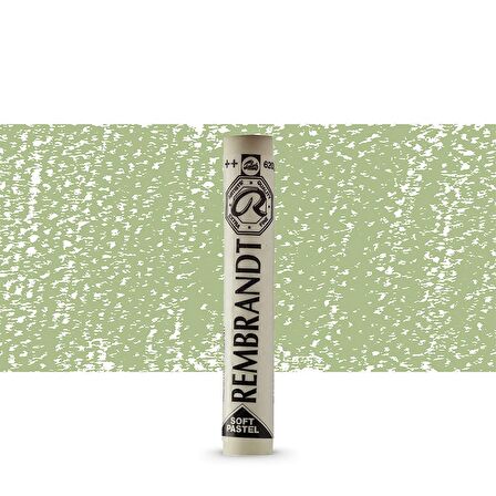 Rembrandt Soft Pastel Boya Olive Green 620.10