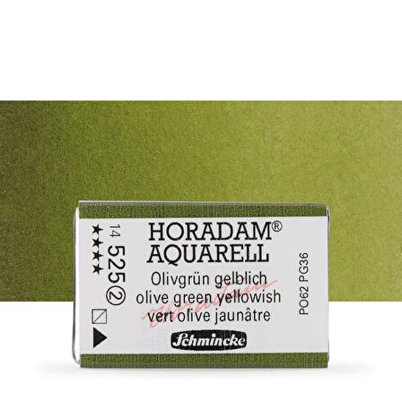 Schmincke Horadam Aquarell Tam Tablet Sulu Boya Olive Green Yellowish 525 S.2